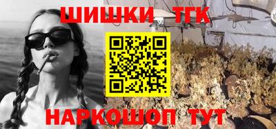 Альфа ПВП Обь